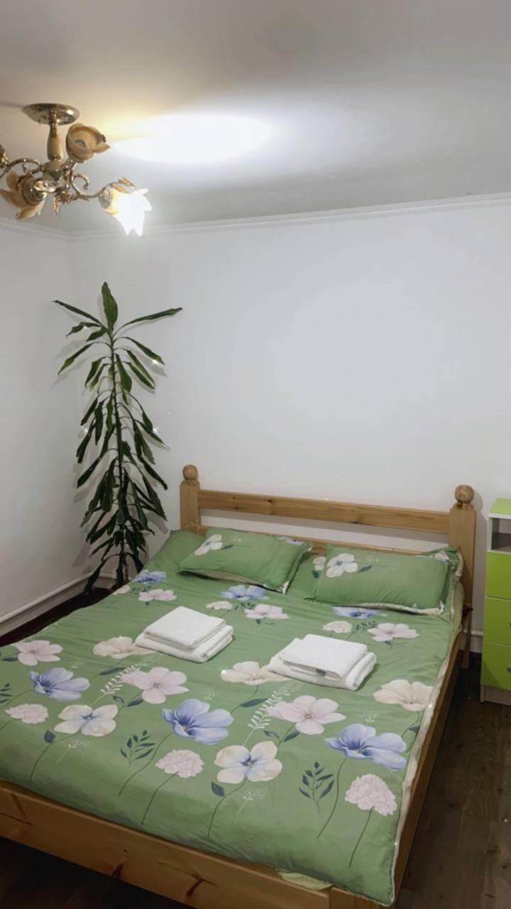 Rozalinda Guesthouse Naryn Εξωτερικό φωτογραφία
